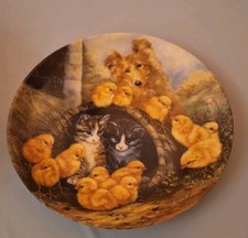 Wandteller Sammelteller