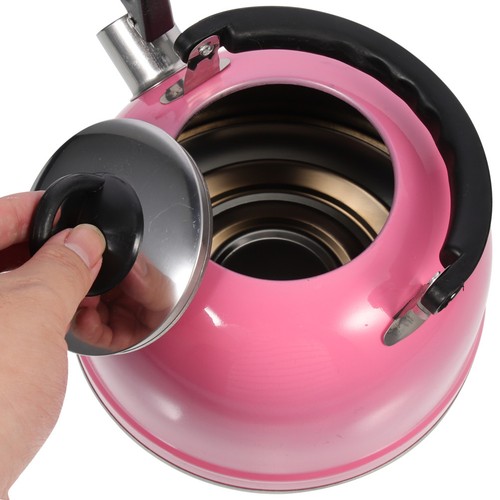 Stainless steel boiling kettle - stainless,