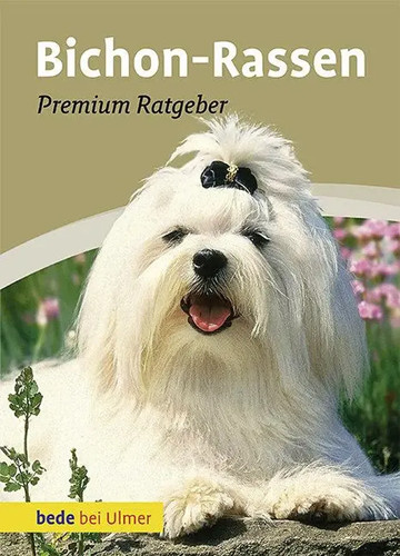 Bichon rassen karin - bichon-rassen, |