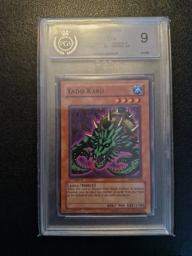 Pgs yado karu - pgs,