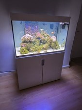 Meerwasser Aquarium 300 Liter