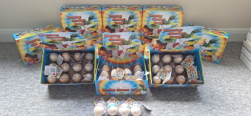 Magic hatching dinosaur eggs - dinosaur,