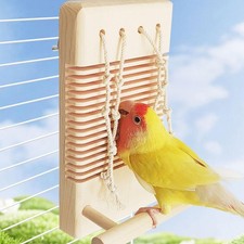 Papagei Kauspielzeug mit