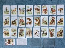 153) Große Tierwelt