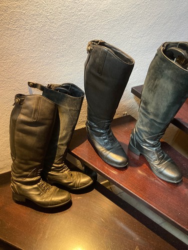 Reitstiefel von ariat paar - reitstiefel, ariat,