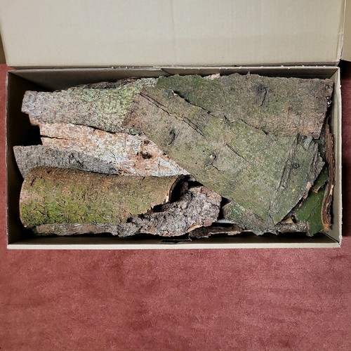 Baumrinde 5 kg - baumrinde,,