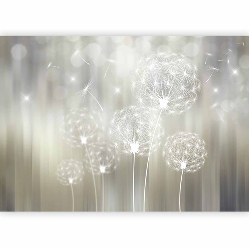 Pusteblume bokeh natur - pusteblume,