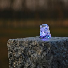 Bunte LED Ring Beleuchtung