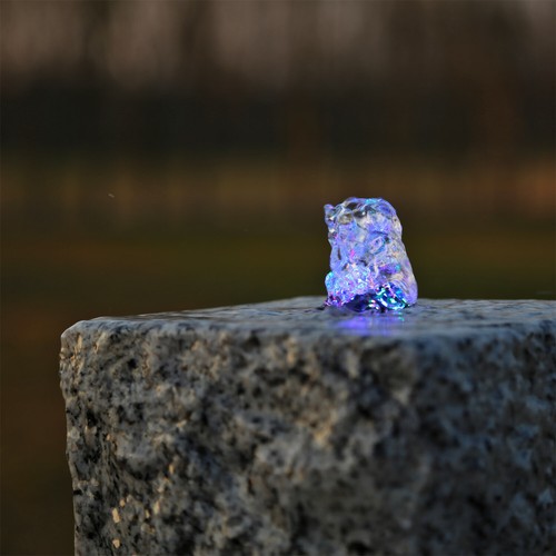 Bunte led ring - bunte,