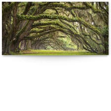 XXL Panorama Landschaft