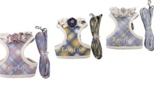 Geschirr set leine - leine, halsband