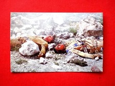 EIKON  Karl May WINNETOU III