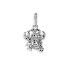 Sternzeichen Anhänger & Kette