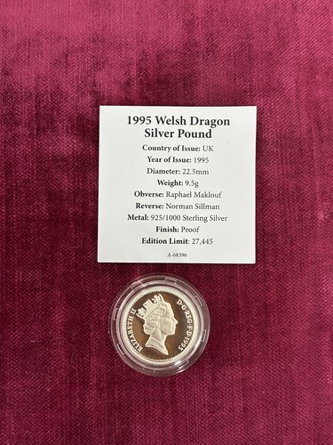 1995 silber 1 münze - silber, £1