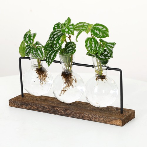 Kreative transparente vase - kreative,