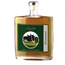 Brand BLUE BOTTLE COMPANY