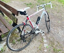 Rennrad Colnago arte 2.0 weiß