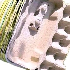 10Eierpappen diverse Farben