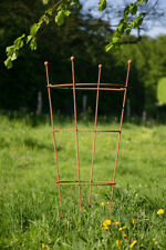 Staudenhalter Rostig H: 120m - 2 tlg. Strauchhalter Rankgerüst, Rost Rankhilfe