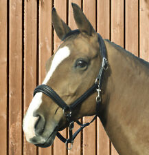 Leder Halfter "Boston"