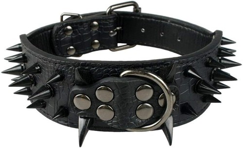 Scharf hundehalsband mit - hundehalsband,