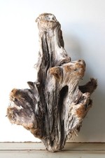 Treibholz Schwemmholz