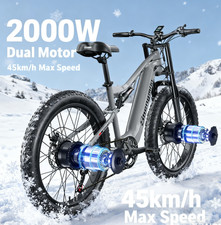 Shengmilo S600 2OOOW Dual