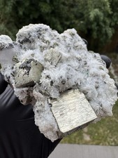 Top Katzengold Pyrit 335,67