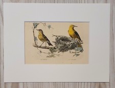 1852 Lithographie Kunstdruck