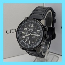 Citizen Promaster Nighthawk