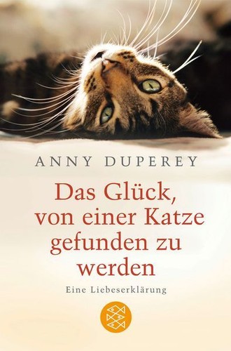 Das glück von einer katze - glück,,
