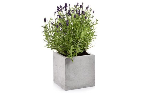 Blumentopf kubik m - blumentopf,