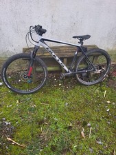 Bulls Cperhead 3 Evo