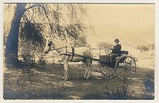 EINACHSIGE PFERDEKUTSCHE / TWO-WHEEL HORSE-DRAWN CARRIAGE * Vintage 20s Photo PC