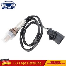 Lambdasonde Regelsonde vor Kat