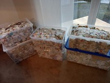 4 Kg vielfält.Kiloware