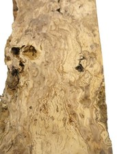 1x Oliven Wurzelholz Holz für