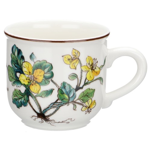 Mokkatasse chelidonium majus - -,
