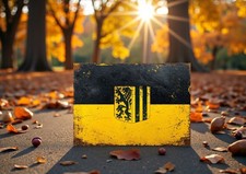 Dresden Wappen Fahne