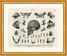 Profildurchschnitt des