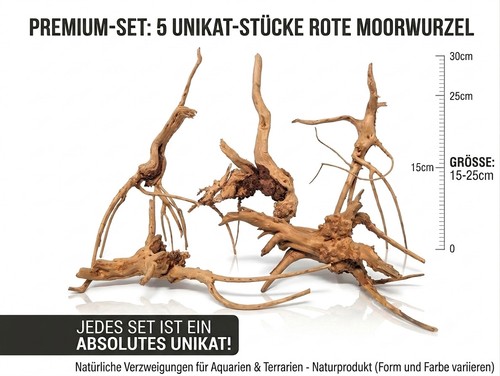 Rote moorwurzel 15 25cm - x,