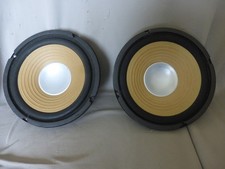 BST PF81 Speaker 2