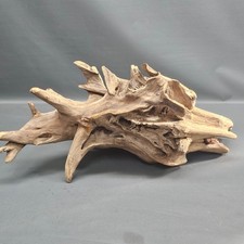 Große Mangrovenwurzel 75 cm