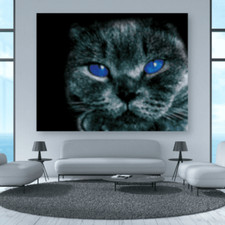 Bild | Leinwand | Tiere | Katzen | Kunstdruck | Fotografie | XXL Deko Wandbilder