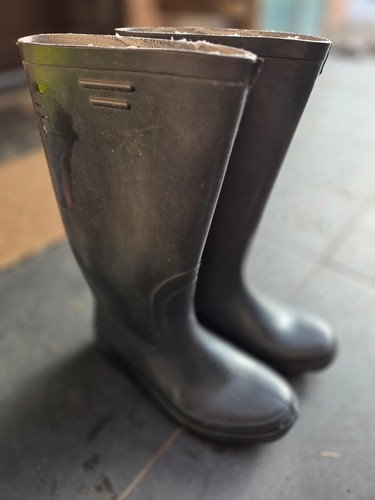 Ddr gummistiefel gartenstiefel - ddr,