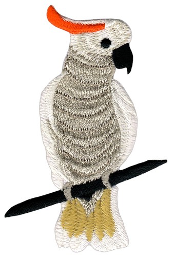 Ao97 vogel kakadu papagei - ao97★vogel,