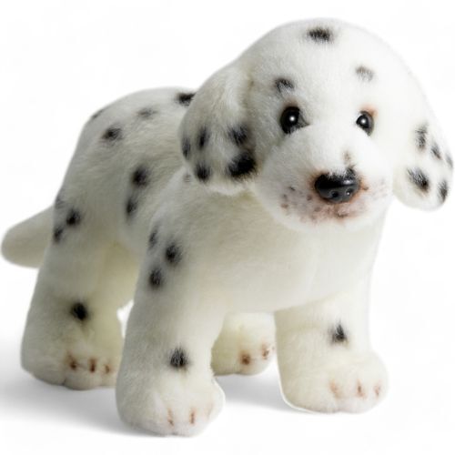 Dalmatiner stehend hund - stehend,,