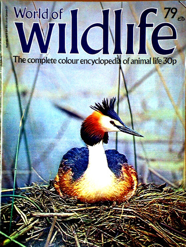 World wildlife 79 great - world,