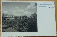 Winkel Rheingau 1957 ex