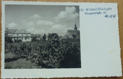 Winkel rheingau 1957 - rheingau, ex